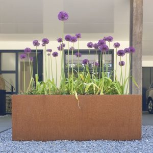 cortenstaal plantenbak rechthoek met bodem (1)