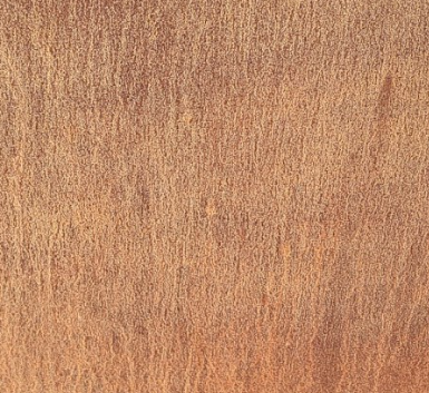 dag 30 roestversneller